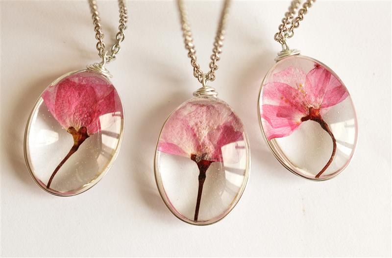 Omagiu florii de cires